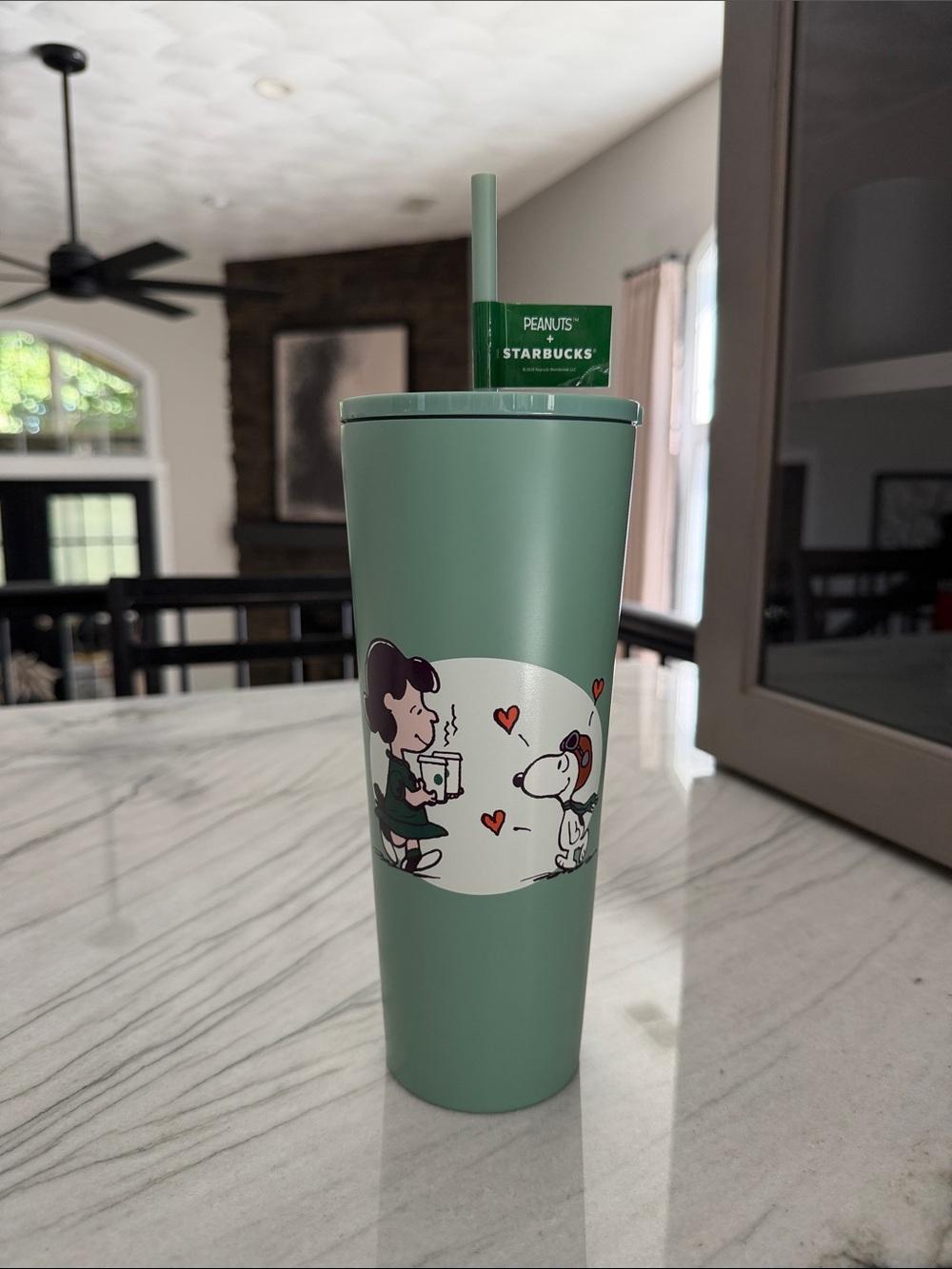 Starbucks Mint Green Peanuts Stainless Tumbler with Straw
